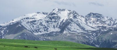 ​天山的海拔高度是多少米