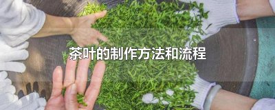 ​茶叶的制作方法和流程