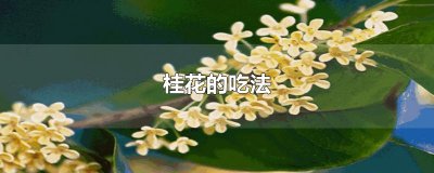 ​桂花的吃法