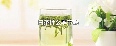 ​白茶什么季节喝