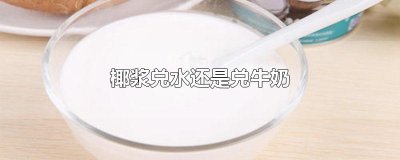 ​椰浆兑水还是兑牛奶