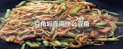 ​豆角焖面用什么豆角