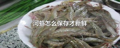 ​河虾怎么保存才新鲜