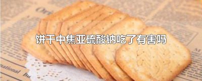 ​饼干中焦亚硫酸钠吃了有害吗