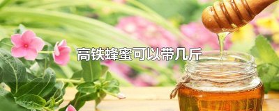 ​高铁蜂蜜可以带几斤