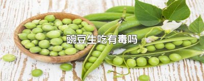 ​豌豆生吃有毒吗