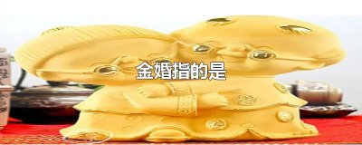 ​金婚指的是