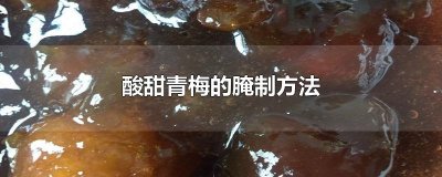 ​酸甜青梅的腌制方法