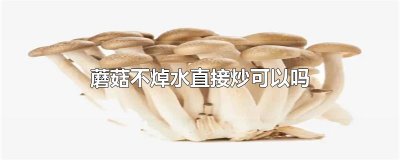 ​蘑菇不焯水直接炒可以吗