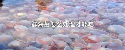 ​鲜海蜇怎么处理才能吃