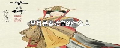 ​芈月是秦始皇的什么人