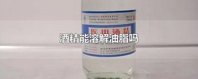 ​酒精能溶解油脂吗