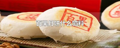 ​百果月饼什么馅料