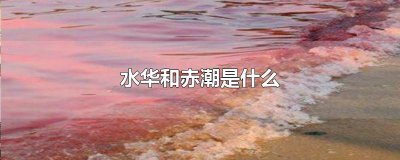 ​水华和赤潮是什么