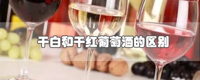 ​干白和干红葡萄酒的区别