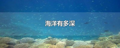 ​海洋有多深