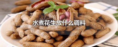 ​水煮花生放什么调料