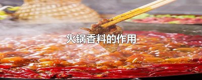 ​火锅底料配方都有哪些香料