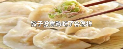 ​饺子没煮熟吃了会怎样