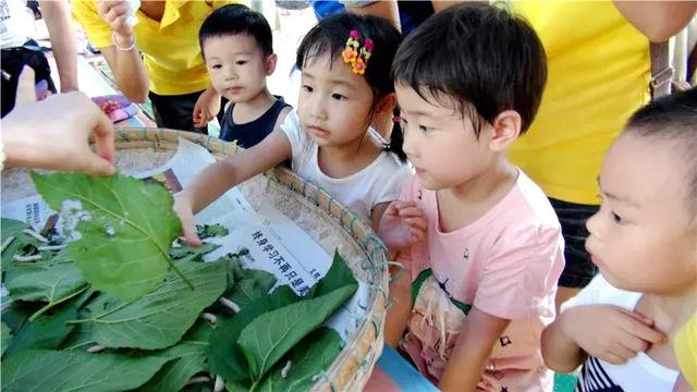 广州周边亲子游玩景点推荐一日游（广州这14个亲子出游秘境）(21)