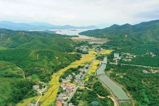 惠东旅游景点介绍（乡村旅游攻略之惠东篇）(1)