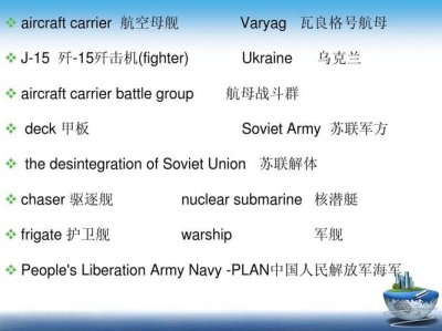 ​navy是什么意思（navy的意思）