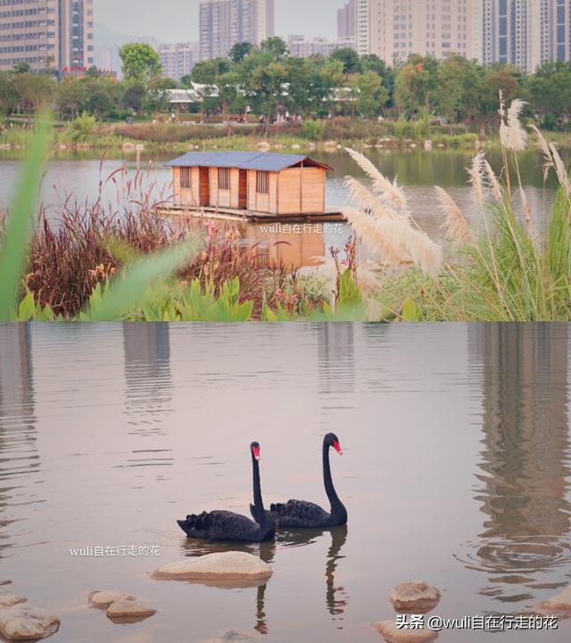 龙岩3天两晚旅游（龙岩新罗区一日一夜旅行攻略）(46)