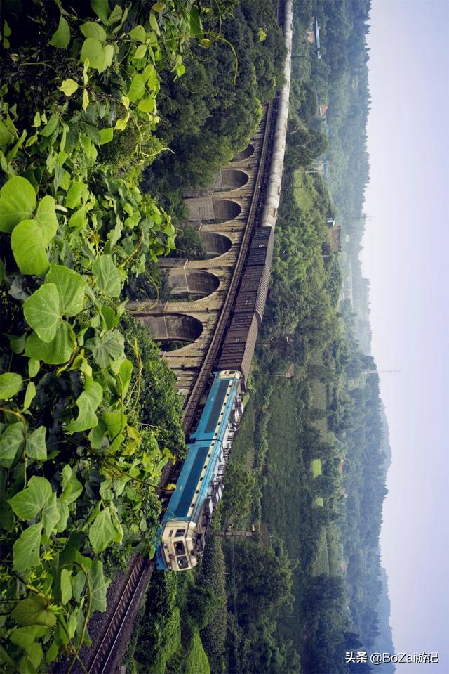 四川资阳有什么旅游景点吗（到四川资阳旅游不能错过的4个景点）(37)