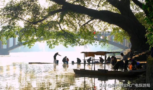 柳州旅游攻略必去景点推荐一日游（秋游柳州国庆不必远行）(14)