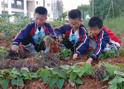 ​江西赣州市有名的学校（赣州这21所学校入选）