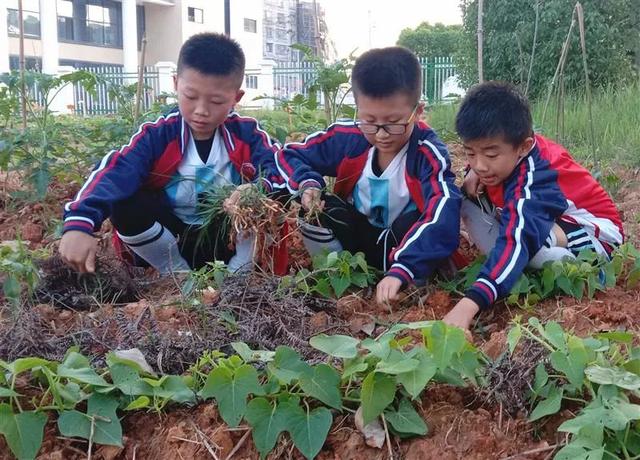 江西赣州市有名的学校（赣州这21所学校入选）(1)