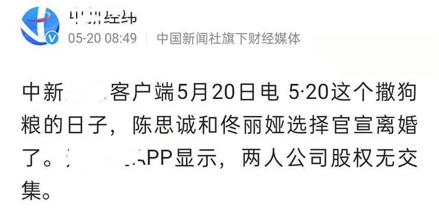 陈思诚佟丽娅离婚不意外（陈思诚佟丽娅离婚不意外）(11)