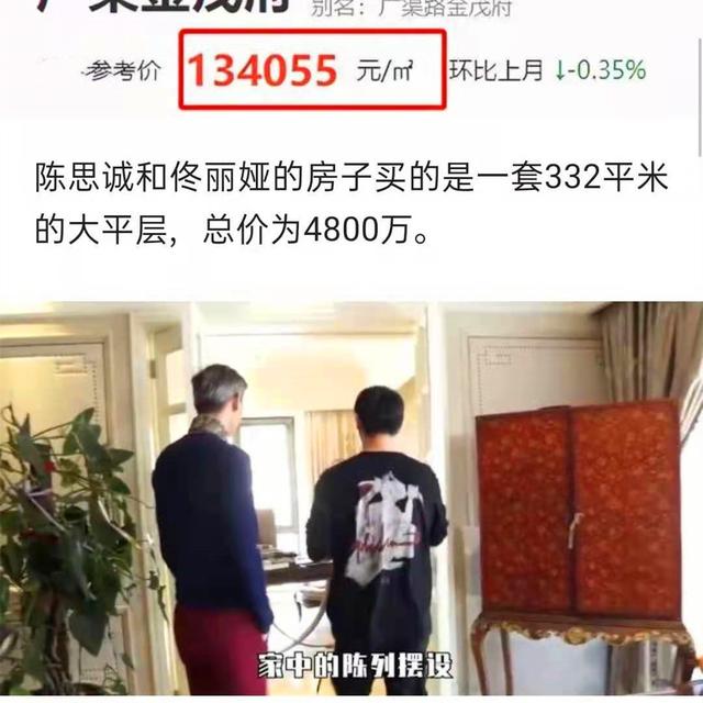 陈思诚佟丽娅离婚不意外（陈思诚佟丽娅离婚不意外）(21)