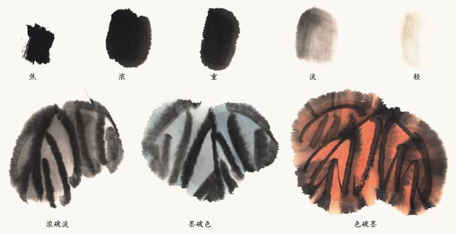 初学者国画入门基础知识（零基础国画教程）(9)