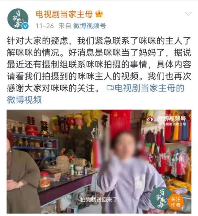 陈露最终会怎样判决（当家主母虐猫是假的）(2)