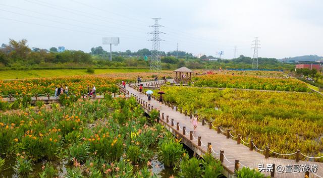 南宁兴宁区旅游景点推荐（广西南宁市兴宁区值得游玩的旅游景点有哪些）(8)