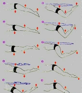 蛙泳的好处是什么