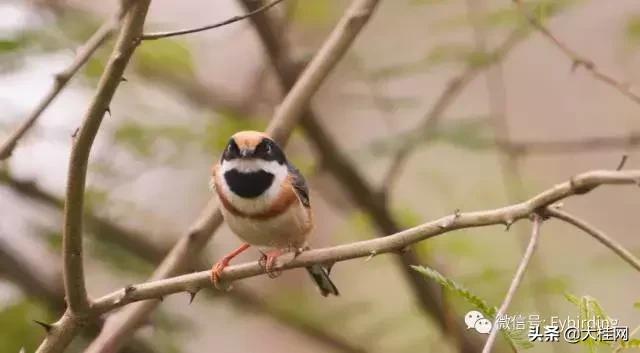 桂林漓江风光简介（广西自然观察圣地）(3)