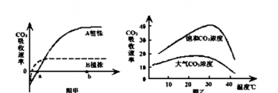 ​二氧化碳浓度，二氧化碳保护气体浓度？