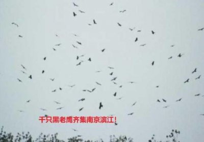 ​辽宁沈阳天空出现巨型光柱（沈阳天空出现巨型光柱奇观）