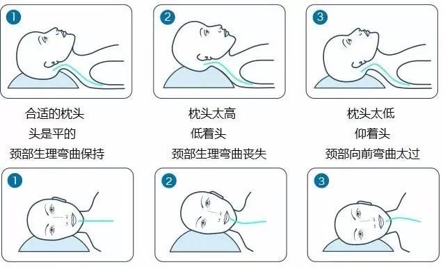 什么样的枕头又健康又放心用 枕头你选对了吗(4)