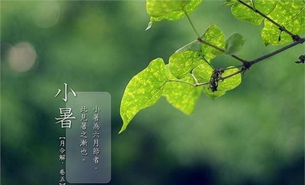 小暑是几月几日2021年