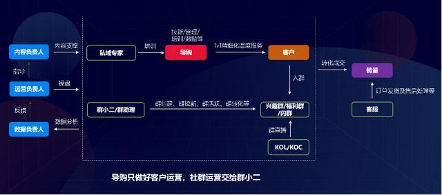 童装青蛙王子总部（30多年的童装品牌青蛙王子是怎么布局私域新零售模式的）(11)