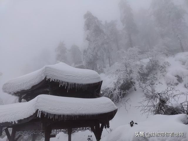 眉山风土人情特征（北纬三十度东坡故乡眉山）(25)