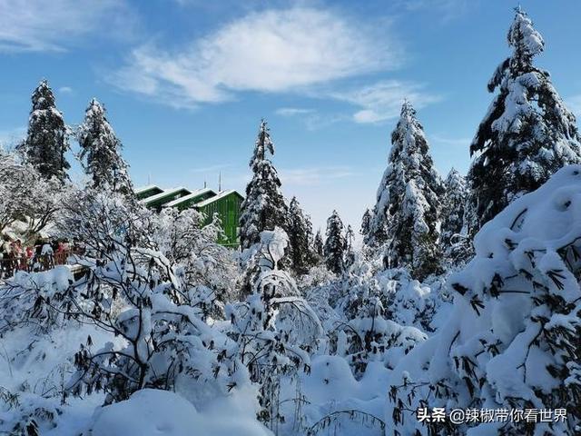 眉山风土人情特征（北纬三十度东坡故乡眉山）(26)