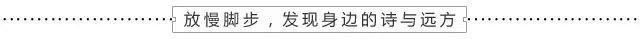 浙江摄影最佳景点排名榜 霓裳魅影攀山赶海(2)