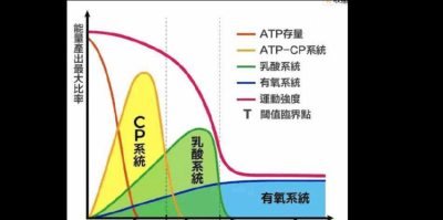 ​人体内有三大供能系统,它们分别是?,人体内有三大供能系统它们分别是