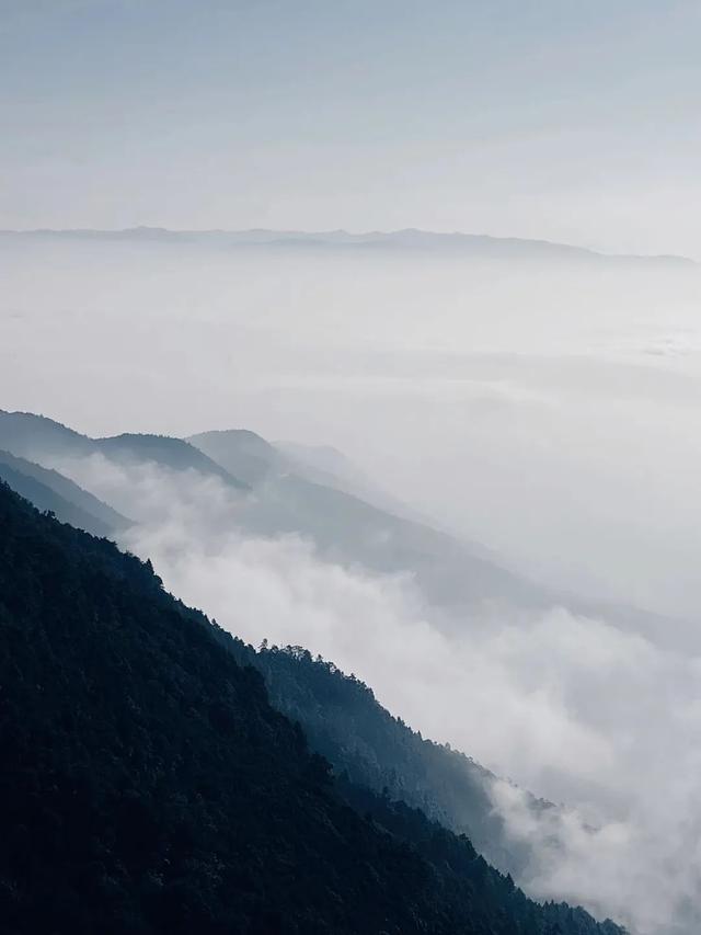 大理宾川鸡足山景区旅游攻略（11月免费的大理宾川鸡足山）(19)