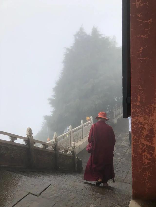 大理宾川鸡足山景区旅游攻略（11月免费的大理宾川鸡足山）(9)