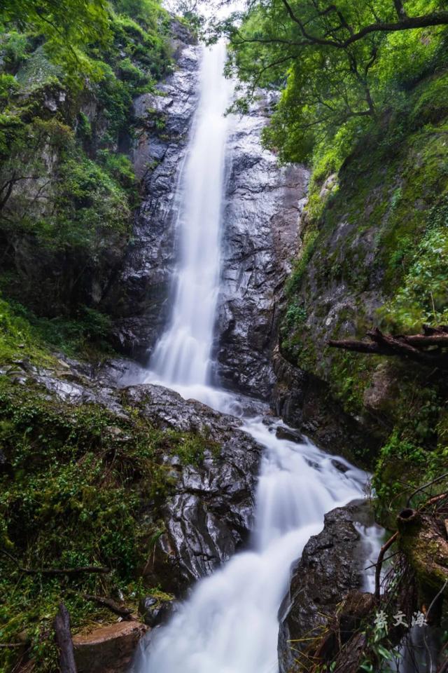 大理宾川鸡足山景区旅游攻略（11月免费的大理宾川鸡足山）(28)